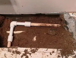 册亨测漏水哪家好