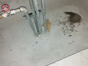 册亨卫生间测漏水价格明细