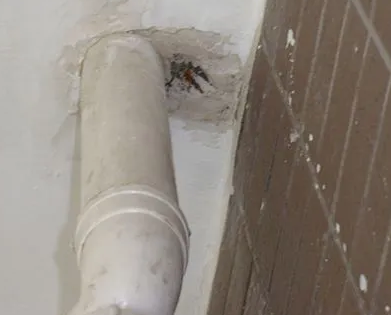 册亨漏水检测哪家好